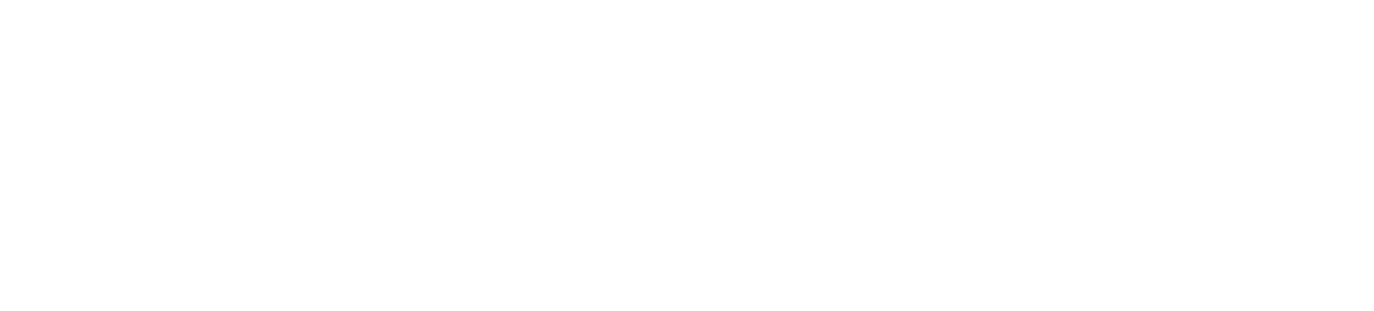 apex legal institute
